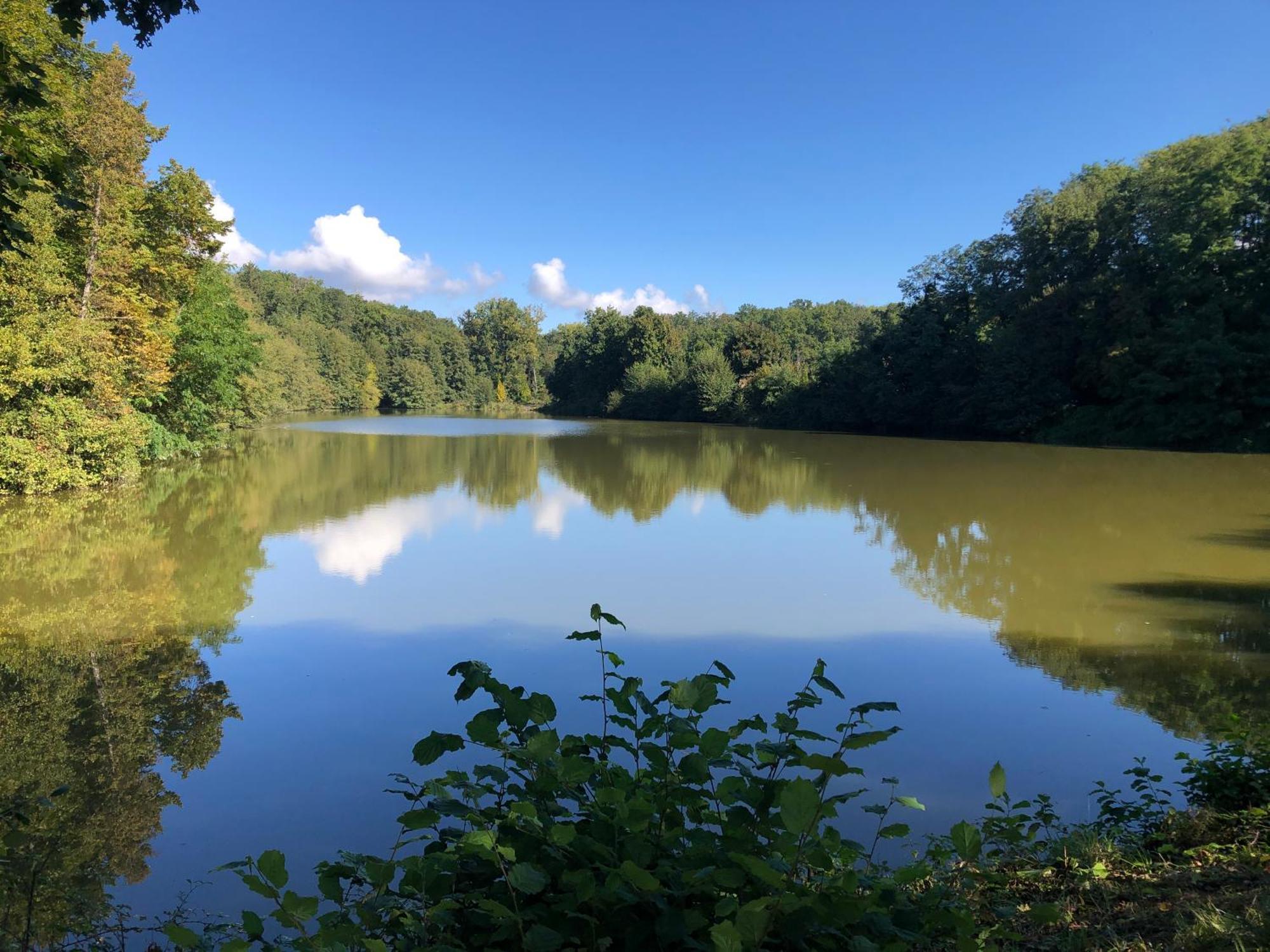 Apartmán Le Charme De L'Ancien Au Calme Et A 8 Min De Chenonceaux La Croix-en-Touraine Exteriér fotografie